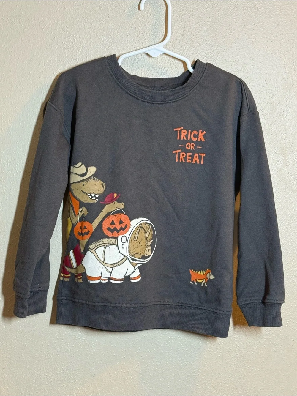 Kids Carters Halloween 'Trick or Treat' Graphic charcoal Sweatshirt Sz 5T